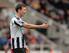 Mike Williamson has been a consistent performer for Newcastle this season.