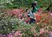 Rory McIlroy enjoying the flowers at Augusta.