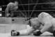 John Cena on the verge of victory against Brock Lesnar.