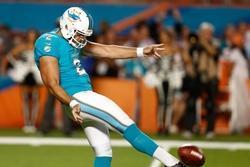 best punter in nfl