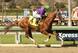 California Chrome could run a blazing-fast time.