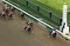 California Chrome was sensational while winning the Derby.