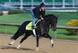Dance With Fate ran fine but fell short nonetheless.