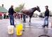 Dallas Stewart, left, hoses down his horse.