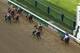 California Chrome wins the Kentucky Derby.