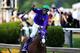 California Chrome rocked the Preakness.