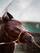Ride On Curlin ran a huge race, finishing second to California Chrome.