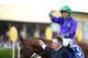 California Chrome had to earn this one Saturday.