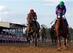 Ride On Curlin (left) finished strong under Joel Rosario.