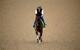 Samraat skipped the Preakness to freshen up for the Belmont.