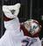 Montreal Canadiens goalie Dustin Tokarski.