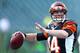 Bengals QB Andy Dalton