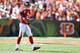 Falcons QB Matt Ryan