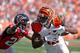 Bengals WR Mohamed Sanu