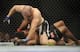 Glover Teixeira fires off some ground-and-pound on Quinton Jackson at UFC on Fox: Johnson vs. Dodson.