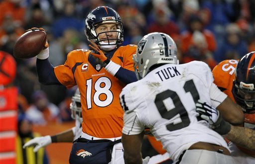 2014 NFL Playoffs Divisional Round Matchups - The Falcoholic