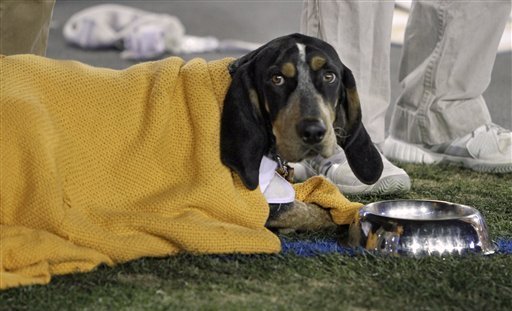 Is the Milwaukee Brewers beloved doggy mascot Hank dead?