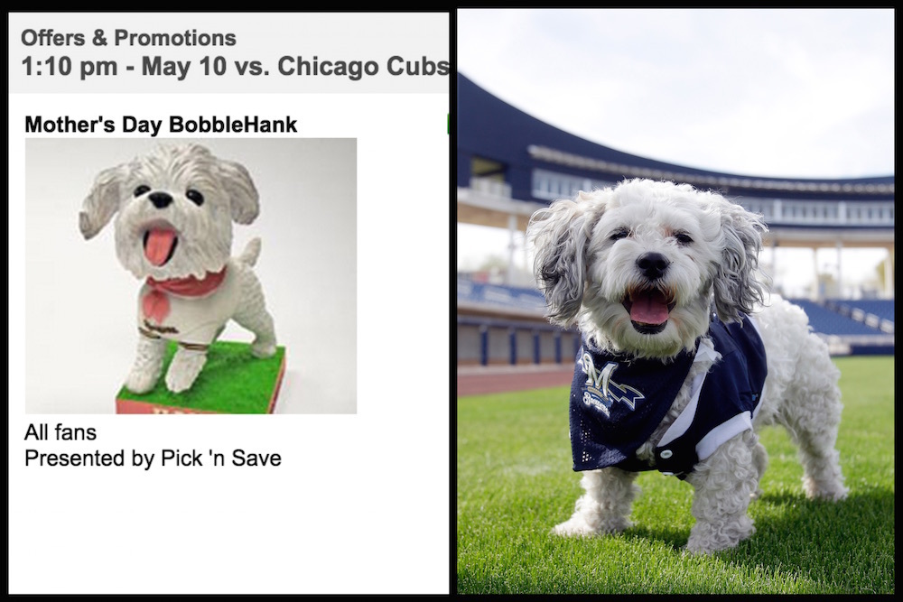 Stray dog Hank becomes Milwaukee Brewers' unofficial mascot