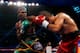 Walters is one of the hardest punchers in boxing.