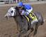 Frosted should be ready to roll after skipping the Preakness.