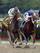 Birdstone stunned Smarty Jones fans in 2004.
