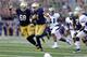 Will Fuller has caught nearly everything thrown his way this fall.