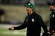 Art Briles has transformed Baylor into a serious College Football Playoff contender.