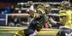 Tyler Byrd