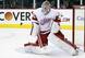 Detroit Red Wings goaltender Jimmy Howard lost the starting job to Petr Mrazek.