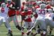 Mike Weber is establishing himself as a force in Ohio State's running game for 2016.