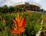 A new stadium built for the tennis competition in Rio.
