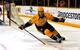 Viktor Arvidsson has tallied 23 points for the Nashville Predators this season.