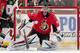The Ottawa Senators will need excellent goaltending from Craig Anderson to reach the postseason.