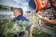 Paul Johnson has become a consistent winner at Georgia Tech.