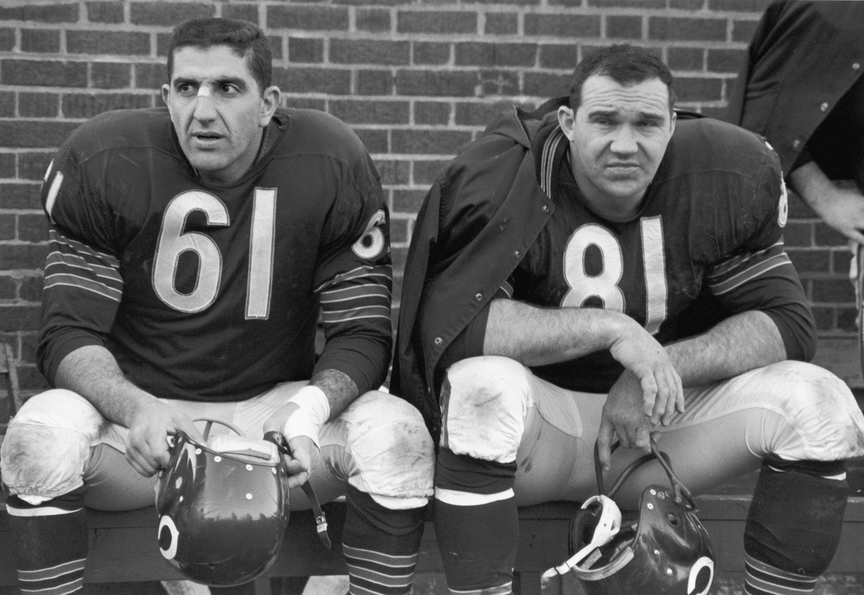 Today in Pro Football History: 1963: Bears Dominate Packers in Key Western  Conference Showdown