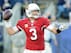 Carson Palmer