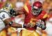 Reggie Bush