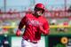 Rhys Hoskins
