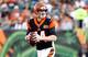 Andy Dalton is on track to have another strong season.
