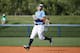 Willy Adames