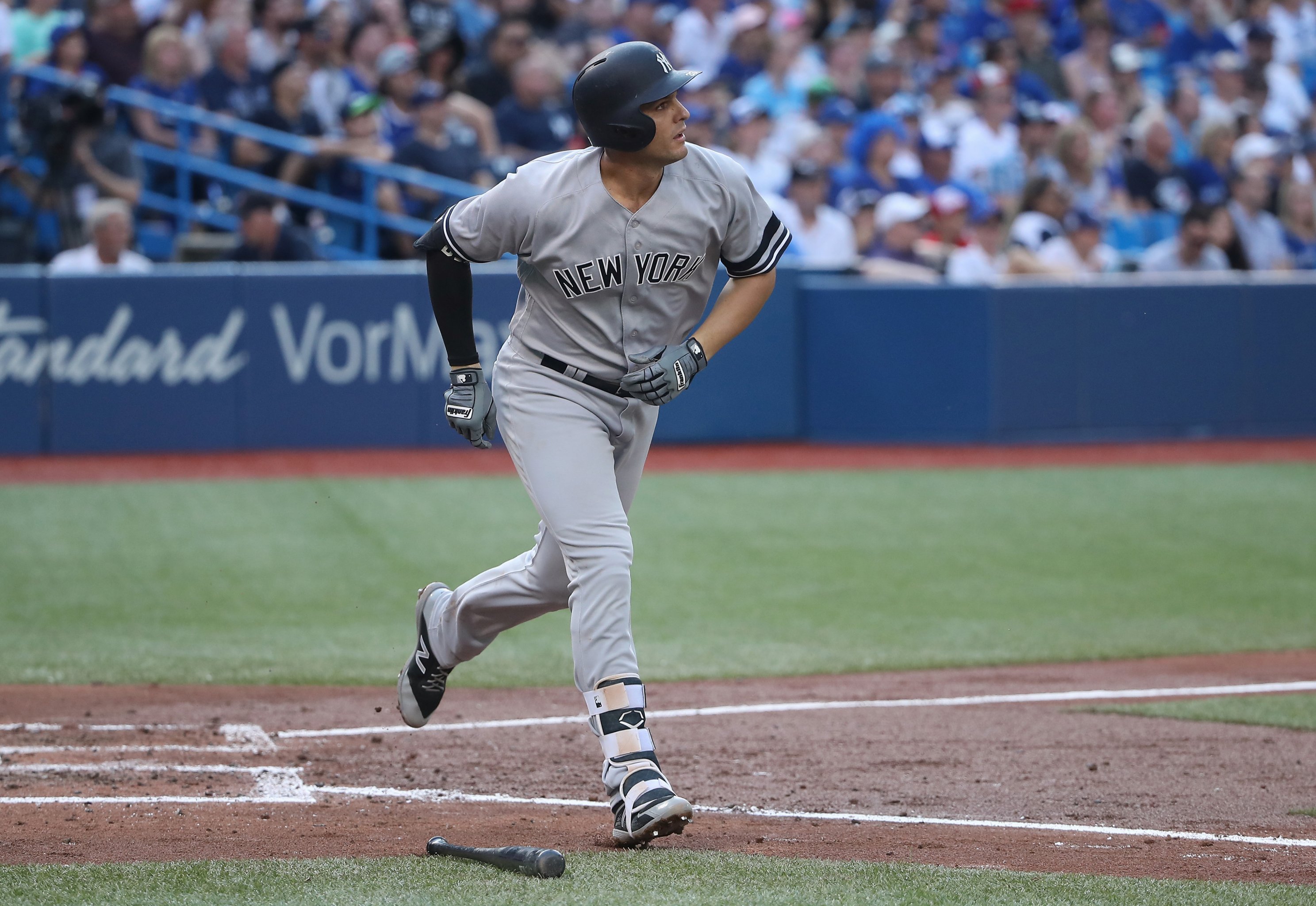 Greg Bird, Major League Baseball, News, Scores, Highlights, Stats, and  Rumors