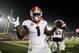 Sony Michel