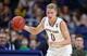 Rex Pflueger