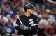 Avisail Garcia