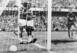 Brazil won the 1958 World Cup.