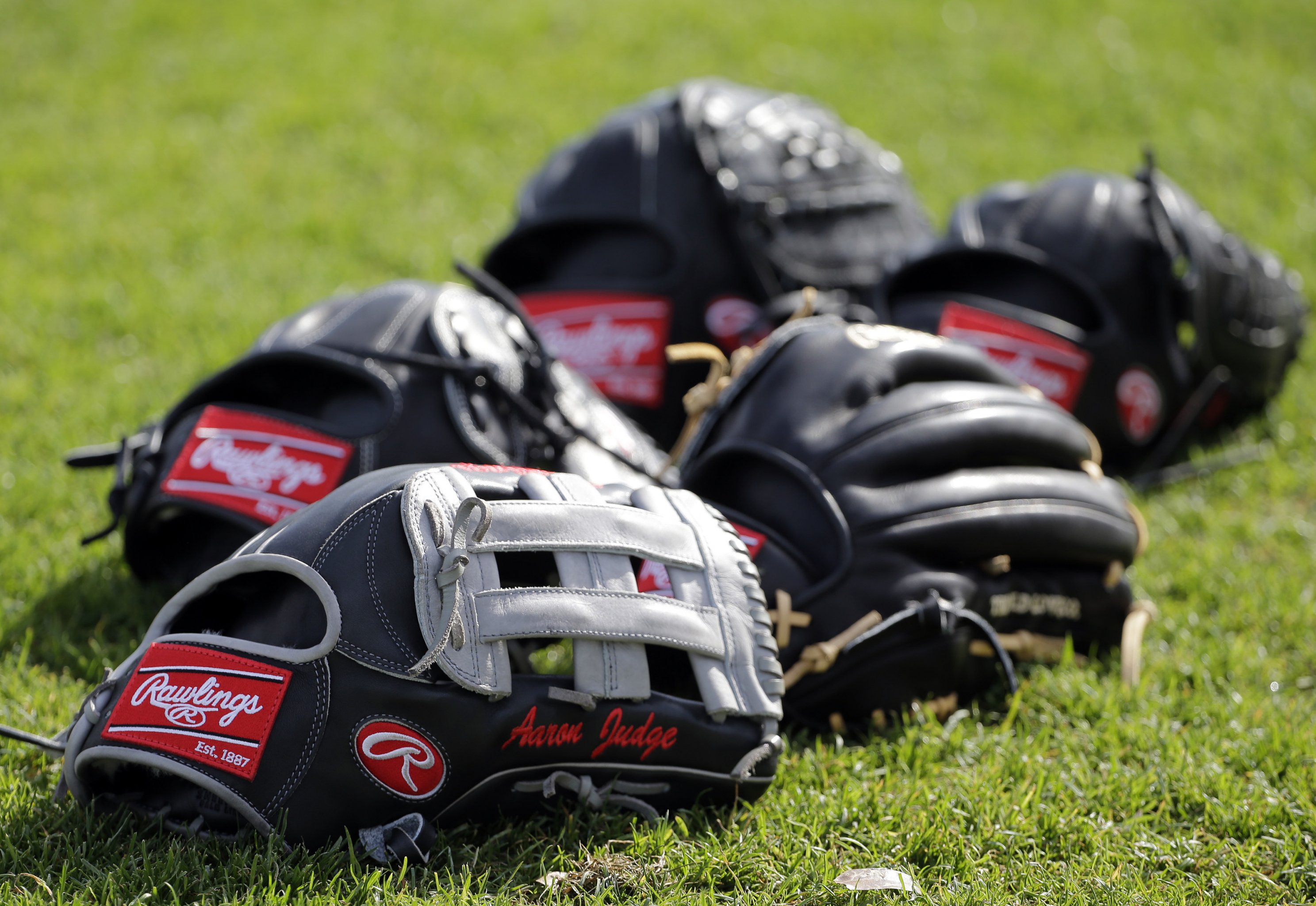 Major league baseball gloves reflect players' personal choices