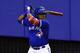 Vladimir Guerrero Jr.