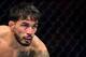 Dennis Bermudez
