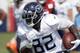 Delanie Walker