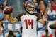 Ryan Fitzpatrick might end up starting more than the first three games.
